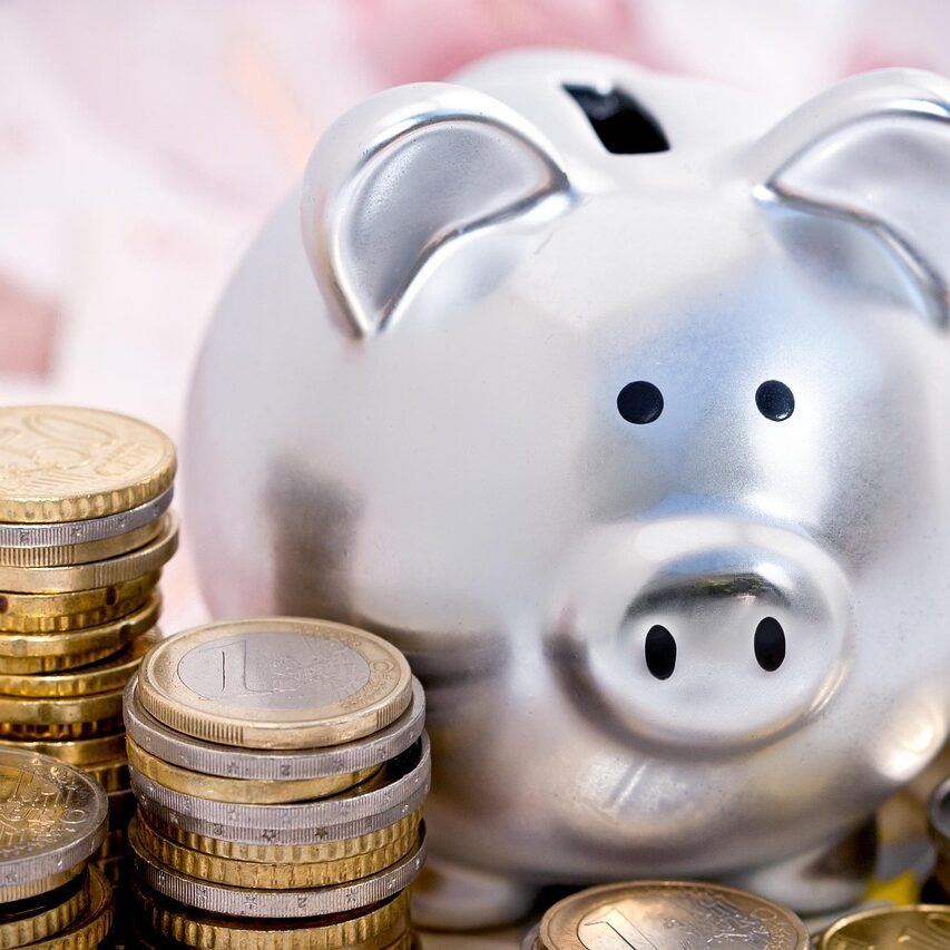 piggy bank, pig, cash, economy, piggy bank, piggy bank, piggy bank, piggy bank, piggy bank