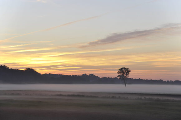Liebe Mitglieder, liebe Freundinnen und Freunde der AktivRegion Steinburg!